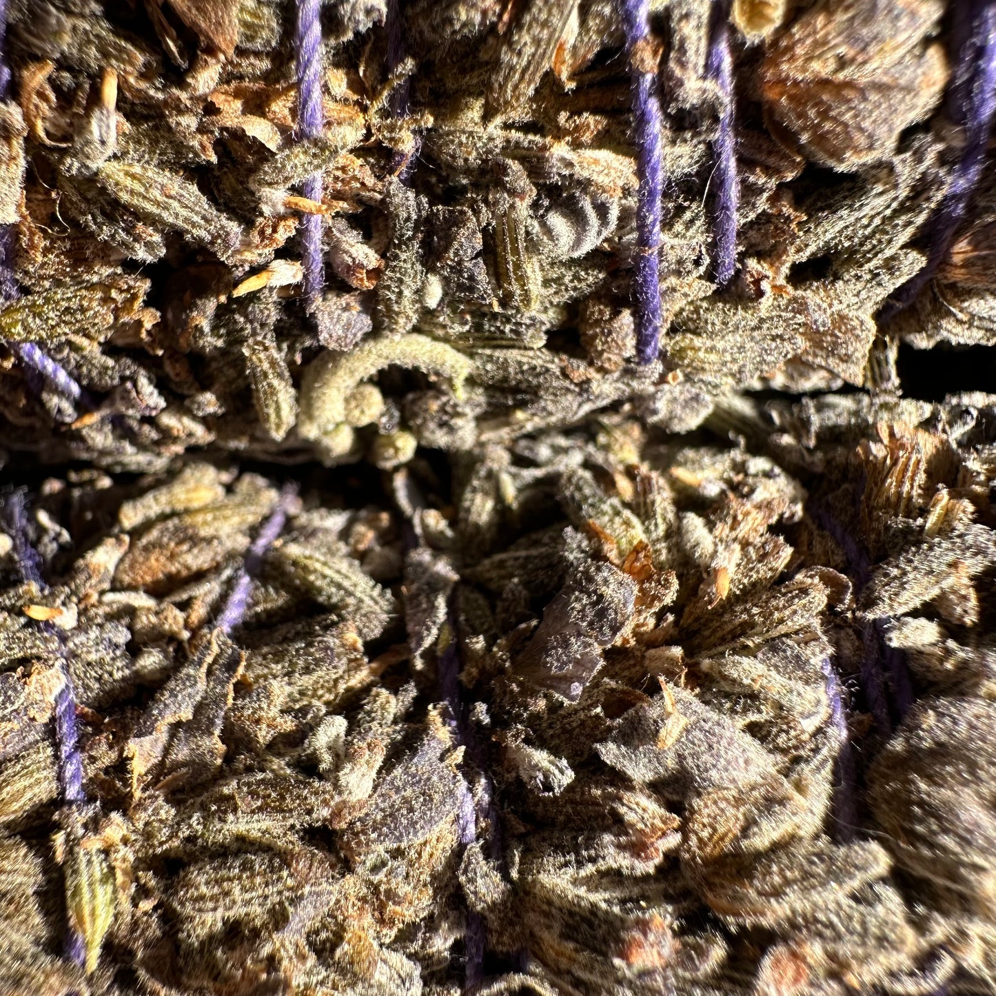 English Lavender Bundle
