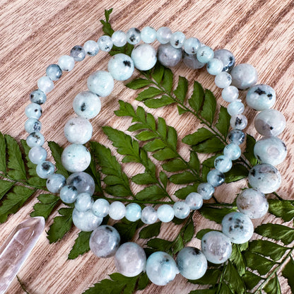 Kiwi Jasper Bracelets